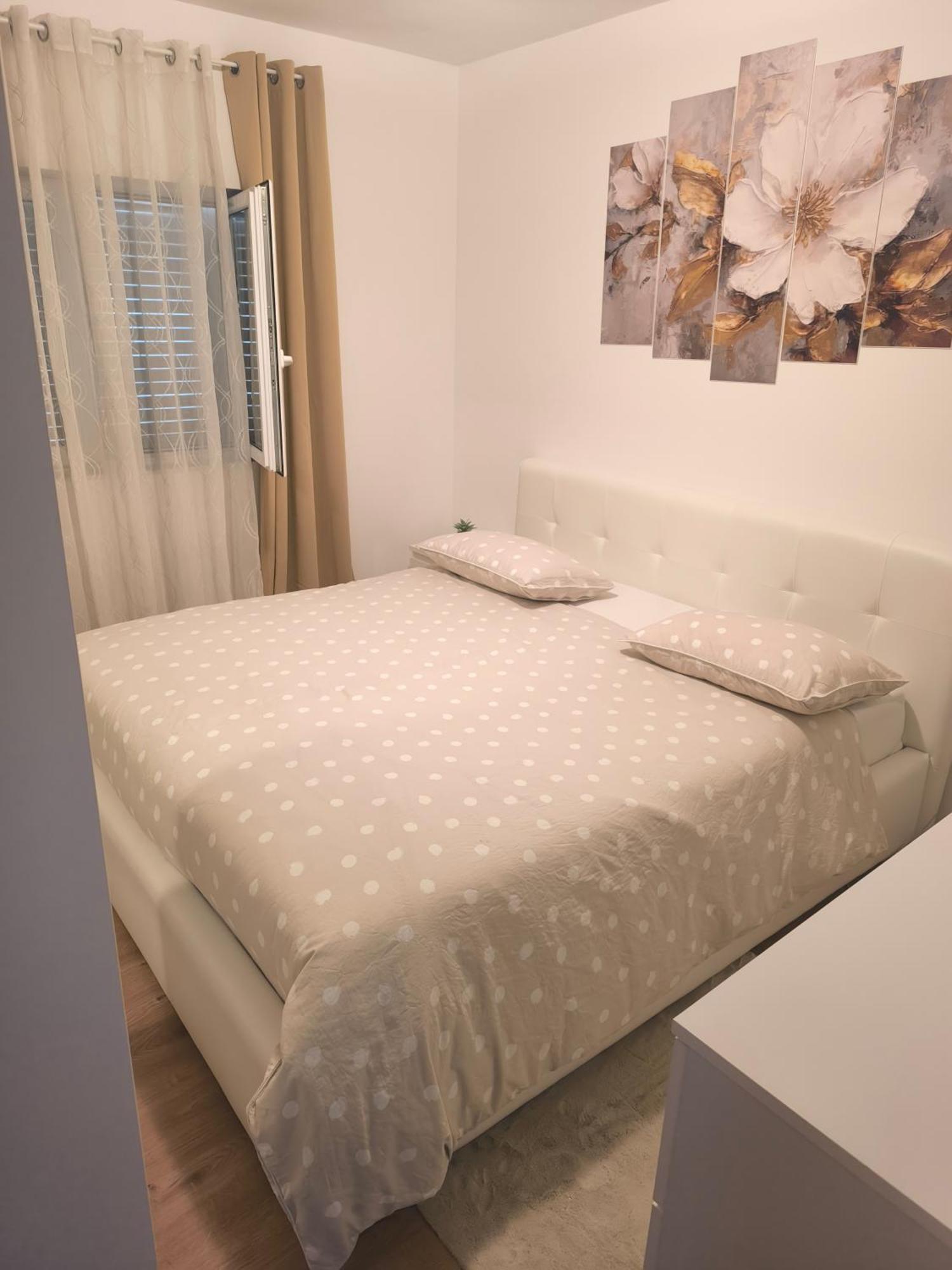 Apartman Rex Svinisce المظهر الخارجي الصورة